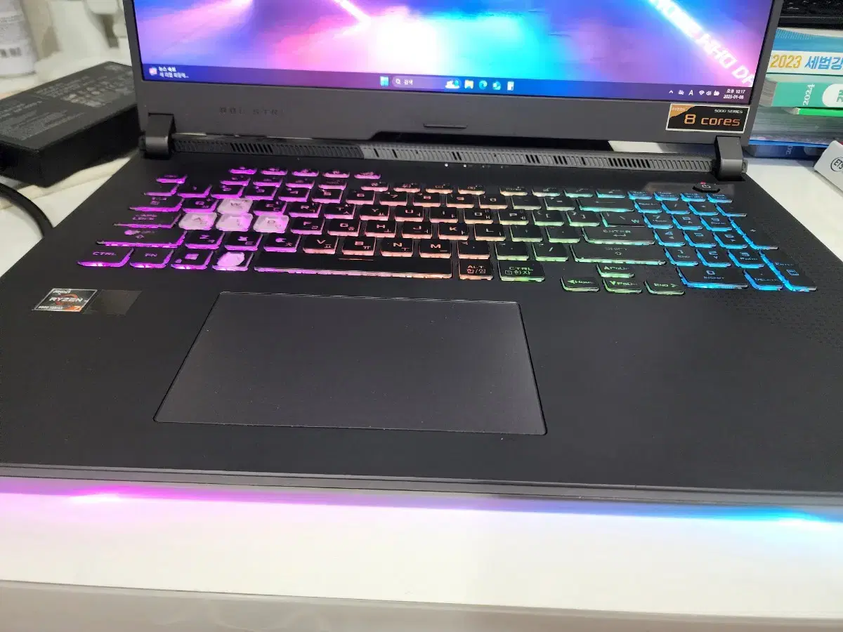 ASUS ROG Strix G713 노트북 17인치 3060